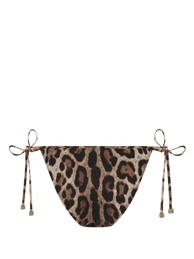 Dolce & Gabbana Brown Polyamide Blend Bikini Bottoms Women In Multi