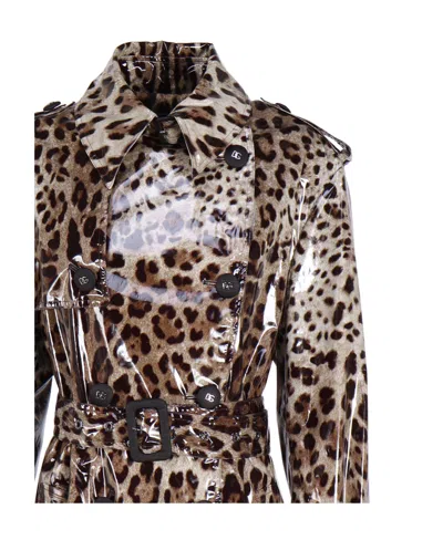 Dolce & Gabbana Leopard-print Belted Trench Coat In Animal Print