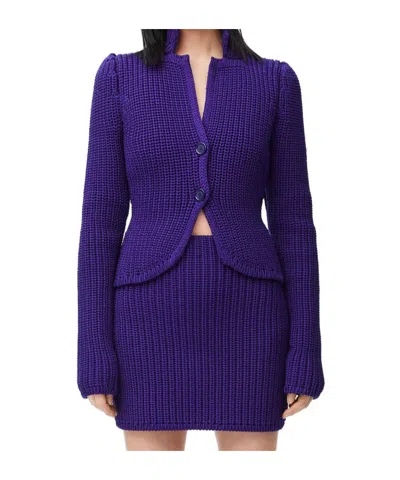 Loewe Jacket In Technical Knit In Purple