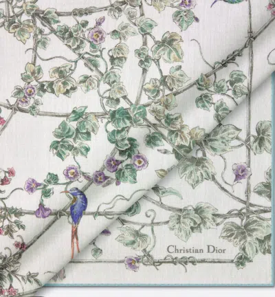 Dior Jardin D-étoile Shawl In Brown