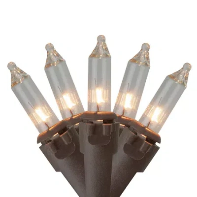 Northlight Mini Commercial - Clear - 300ct - 68ft Brown Wire String Lights In Multi