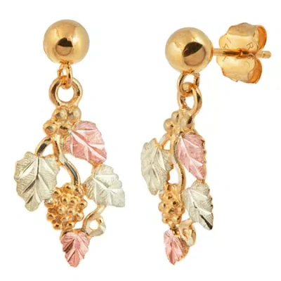 Landstrom's Black Hills Gold Landstroms Black Hills Gold 10k Gold Drop Earrings In Transparent