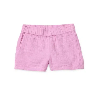 Okie Dokie Toddler & Little Girls Pull-on Short In Purple