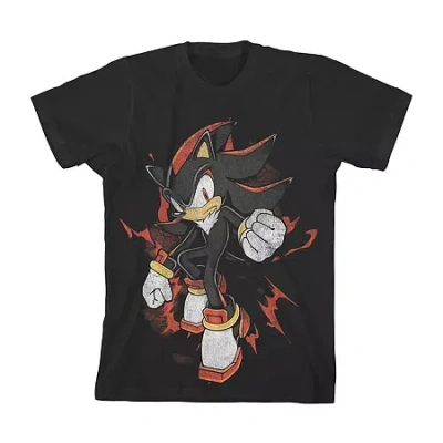 Bioworld Boys Crew Neck Short Sleeve Relaxed Fit Sonic The Hedgehog Graphic T-shirt In Animal Print