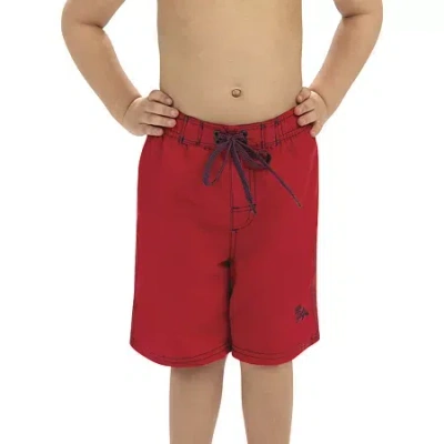 Dolfin Toddler Boys Quick Dry Swim Shorts In Red