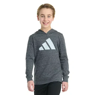 Adidas Originals Big Kid Boys Hooded Long Sleeve Regular Fit Graphic T-shirt In Gray