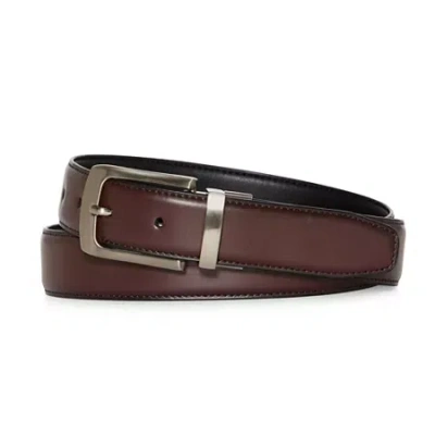 Stafford Mens Belt In Brown