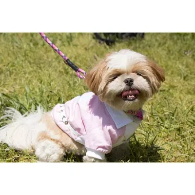 Pet Life The  Varsity-buckled Collared Pet Coat In Pink