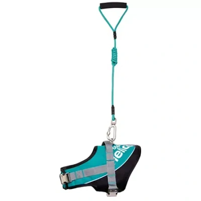 Pet Life The  Helios Bark-mudder Easy Tension 3m Reflective Endurance 2-in-1 Adjustable Dog Leash And In Blue