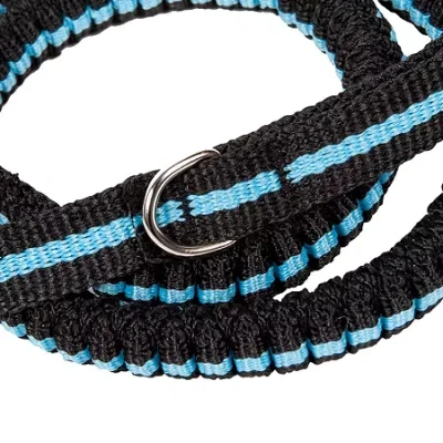 Pet Life Dog Leash In Blue