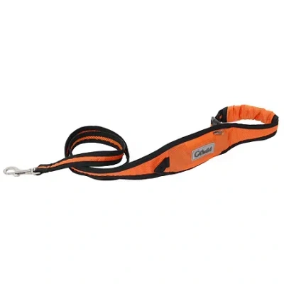 Pet Life Dog Leash In Multi