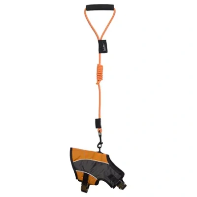Pet Life The  Touchdog Reflective-max 2-in-1 Premium Performance Adjustable Dog Harness And Leash In Multi