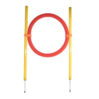 Pet Life Hoop Hopper Collapsible Agility Dog Trainer Kit In Multi