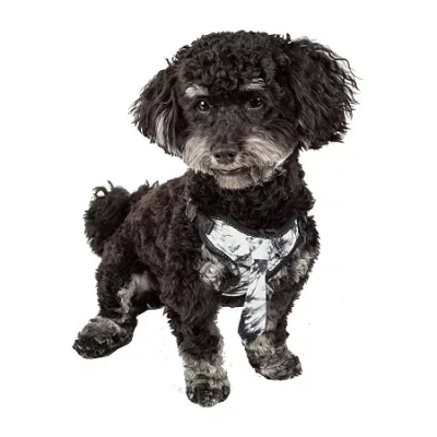 Pet Life Bonatied' Mesh Reversible And Breathable Adjustable W/ Designer Neck Tie Dog Harness In Multi