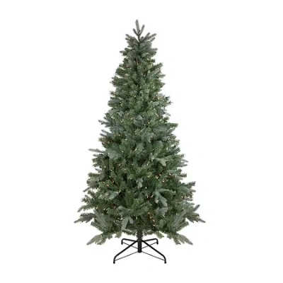 Northlight Granville Fraser Slim Artificial Clear Lights 7 1/2 Foot Pre-lit Fir Christmas Tree In Green