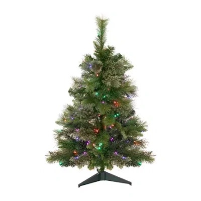 Northlight Kingston Cashmere Full Artificial Multi Led Lights 3 Foot Pre-lit Pine Christmas Tree In Green