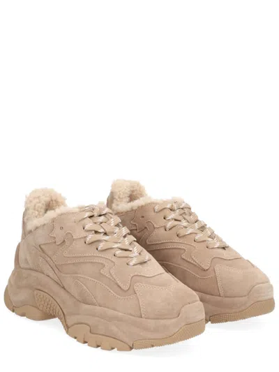 Ash Addict Bis Fur Sneaker In Neutral