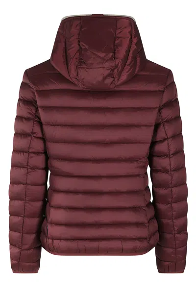 Save The Duck Alexis In Burgundy