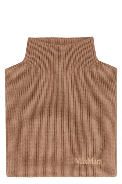 Max Mara Versatile Ribbed Knit High Collar Scarf In Brown