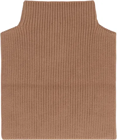 Max Mara Versatile Ribbed Knit High Collar Scarf In Brown