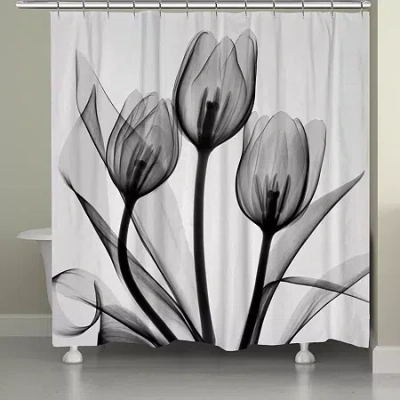 Laural Home Monochromatic Tulips Shower Curtain In Black