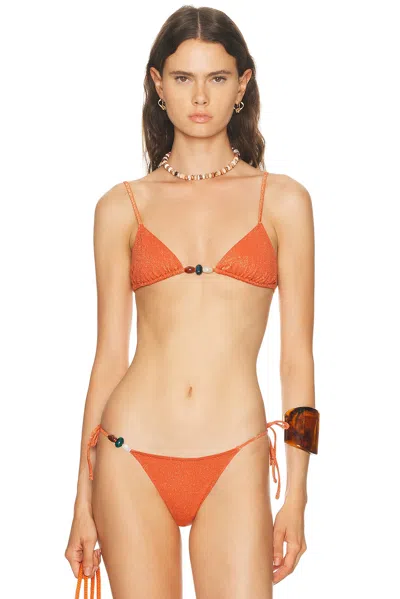 Tropic Of C Equator Bikini Top In Brown