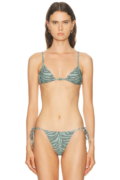 Tropic Of C Equator Bikini Top In Green