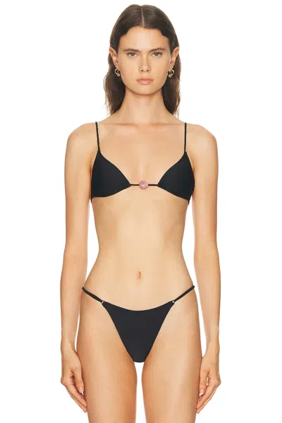Tropic Of C Equator Superfine Bikini Top In Black