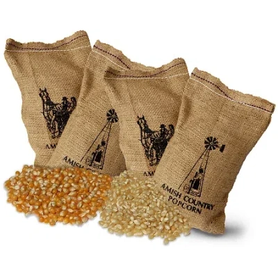 Wabash Valley Farms Farm Fresh Burlap Popcorn Kernel Bags - Set Of 4 In Multi