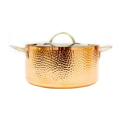 Berghoff Stainless Steel Dutch Oven In Brown