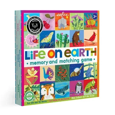 Eeboo Life On Earth Memory And Matching Game Brain Game In Transparent