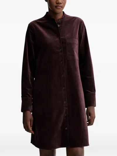 Marc O'polo Velvet Mini Dress In Burgundy