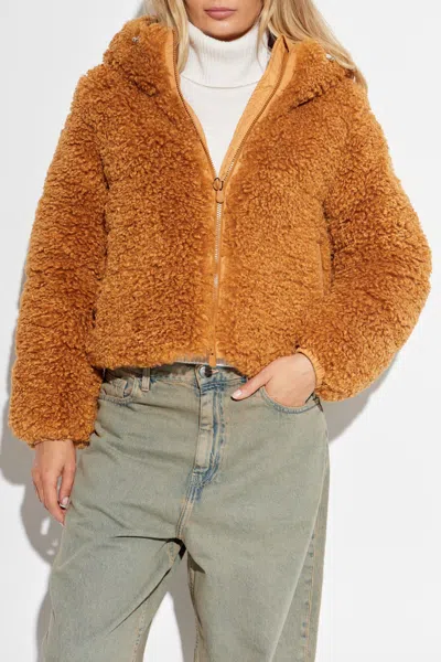 Save The Duck Insulated Jacket Dada In Brown