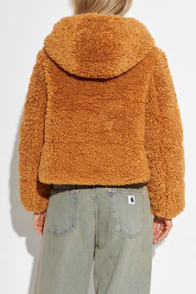 Save The Duck Insulated Jacket Dada In Brown