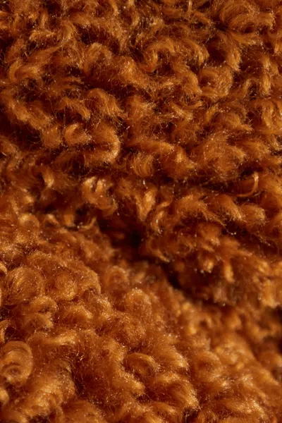 Save The Duck Insulated Jacket Dada In Brown