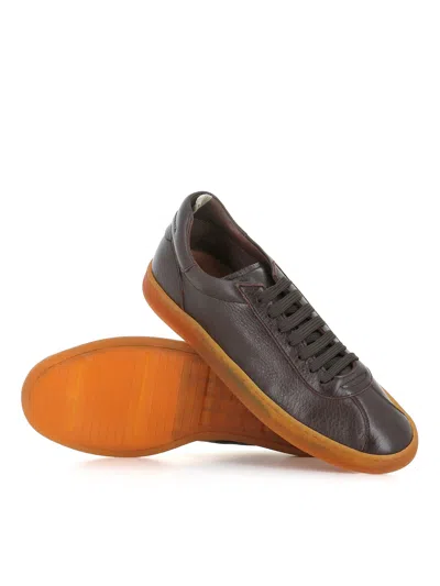 Officine Creative Sneaker Halo/001 In Brown