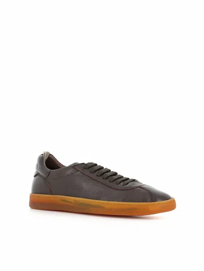 Officine Creative Sneaker Halo/001 In Brown