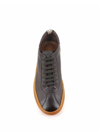 Officine Creative Sneaker Halo/001 In Brown