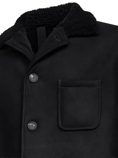 Tagliatore Shearling-collar Coat In Black