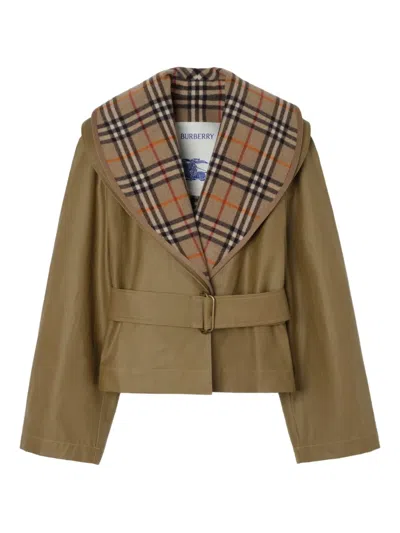 Burberry Cropped Cotton Jacket With Check Warmer In Brown