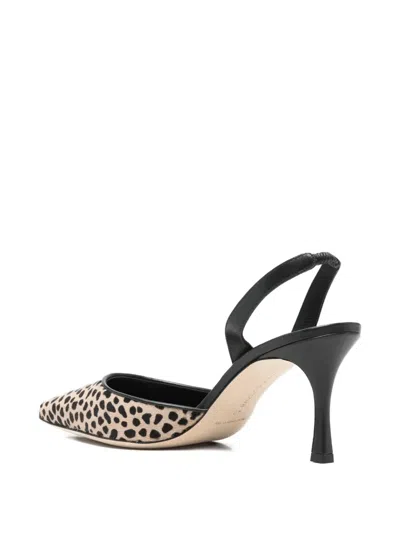 Manolo Blahnik 70mm Carolyne Pointed Leopard-pattern Pumps In Neutral