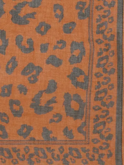 Bonton Printed Scarf In Brown