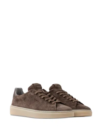 Date Levante Sneakers In Taupe Suede In Brown