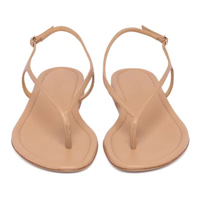 Gabriela Hearst Round-toe Flat Sandals In Brown
