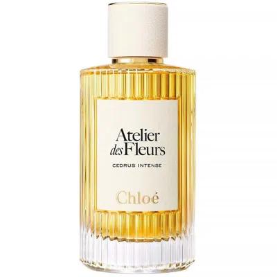 Chloé Chloe Ladies Atelier Des Fleurs Cedrus Intense Edp Spray 1.7 oz Fragrances 3616305259523 In Yellow