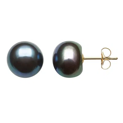Belacqua 6-6.5mm Freshwater Black Button Pearl Stud Earrings In 14k Yellow Gold Jewelry For Women In Black