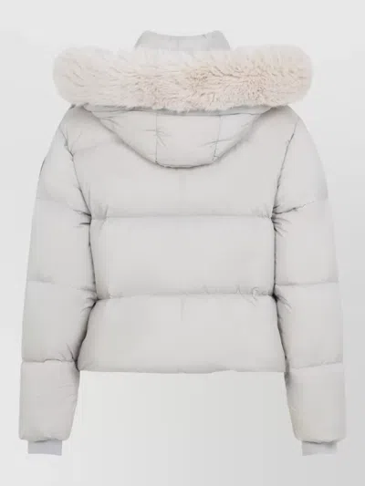 Moose Knuckles Peak Puffer Coat High Collar Fur Trim In Multi