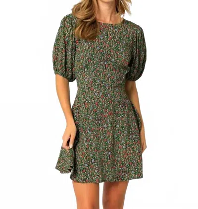 Olivaceous Irena Mini Dress In Black Green In Green