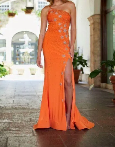 Amarra Teressa Gown In Orange In Orange