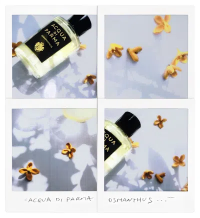 Acqua Di Parma Osmanthus Eau De Parfum In White